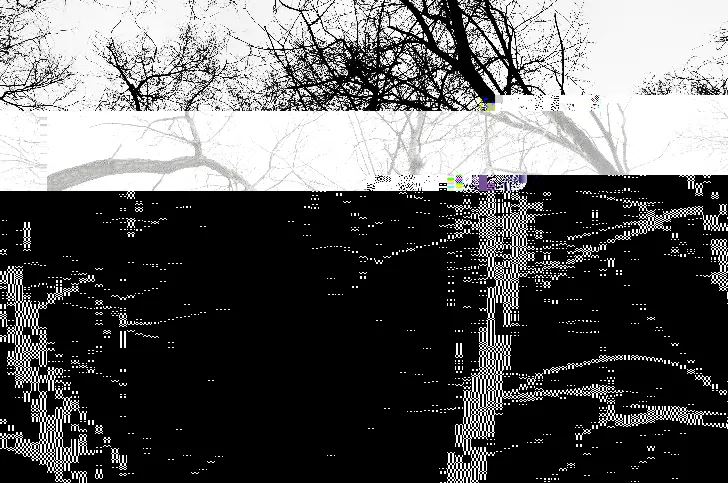 Beautiful Broken: How Corrupted Data Became the Most Honest Art Form Online